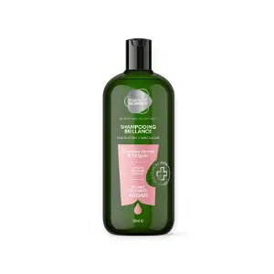 Pharmascience Shampooing Brillance Cheveux Ternes & Fatigués 500ml - Pharmacie Agnès Praden à Alès
