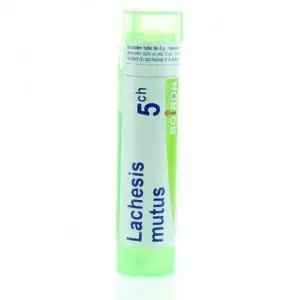 Boiron Ledum Palustre 5CH Tube 80 Granules - Pharmacie Agnès Praden à Alès