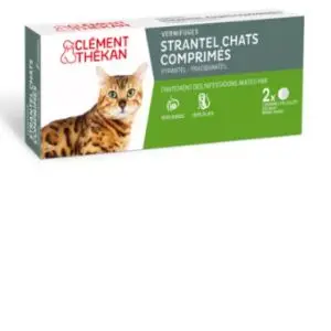 Clément-Thékan Strantel chats 2 Comprimés