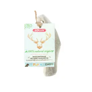 Zolux Bois De Cerf Biseauté Xxs Friandise À Mâcher Pour Chiot 0.06kg