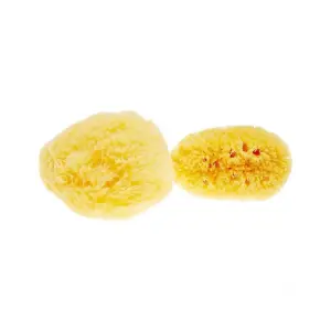 Remond Sachet de 2 éponges Venise