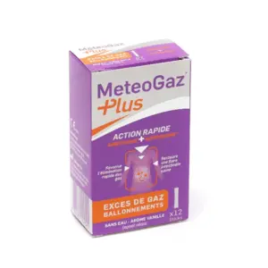 MétéoGaz Plus 12 Sticks arôme Vanille 