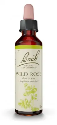 Fleur de Bach Original Wild Rose 20 ml