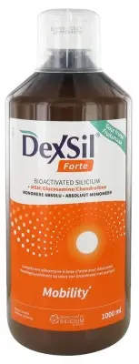 Dexsil Forte Articulations + MSM Glucosamine Chondroïtine Solution Buvable 1 L