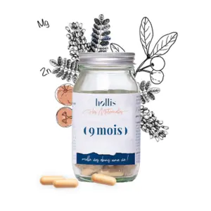 Hollis 9 Mois 90 gélules - Pharmacie Agnès Praden à Alès