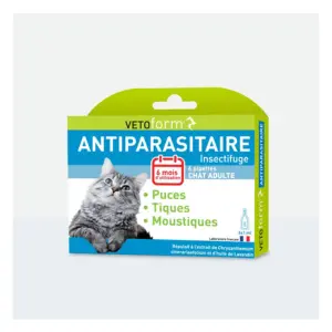 Vétoform Chat Pipette x 6  