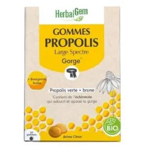 Herbalgem Propolis Large Spectre Gommes Bio x24 