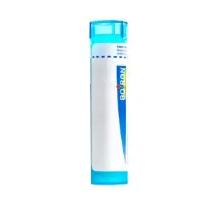Boiron Pollens 9CH Tube 80 Granules - Pharmacie Agnès Praden à Alès