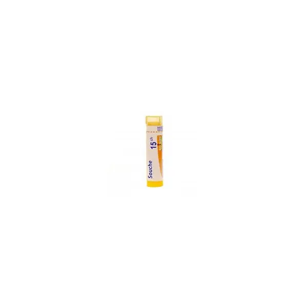 Boiron Apis Mellifica 15ch 4g - Pharmacie Agnès Praden à Alès