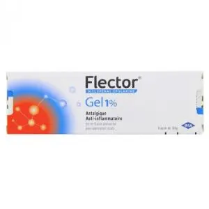 Ibsa Flector Gel 1% Flacon Pressurisé 100 g