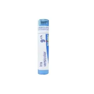 Boiron Iris Versicolor 9CH Tube Granules 4g - Pharmacie Agnès Praden à Alès