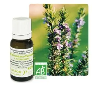 Pranarôm Les Huiles Essentielles Huile Essentielle Bio Au Romarin Verbenone 5ml