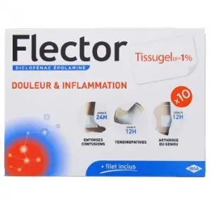 Ibsa Flectortissugelep 1 % Emplâtre Médicamenteux 10 Enveloppes