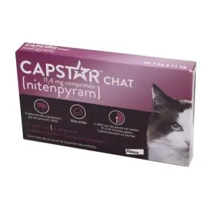 Elanco Capstar Chat 11.4mg 6 Comprimés 