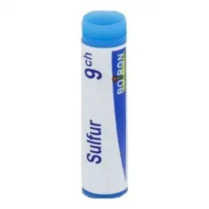 Boiron Sulfur 9CH Dose 200 Globules - Pharmacie Agnès Praden à Alès