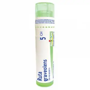 Boiron Ruta Graveolens 5CH Tube 80 Granules - Pharmacie Agnès Praden à Alès