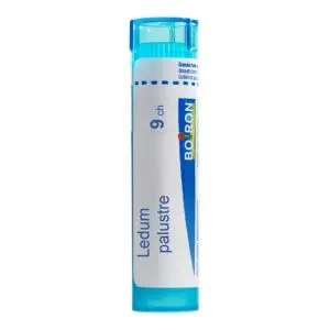 Boiron Ledum Palustre 9ch 4g - Pharmacie Agnès Praden à Alès